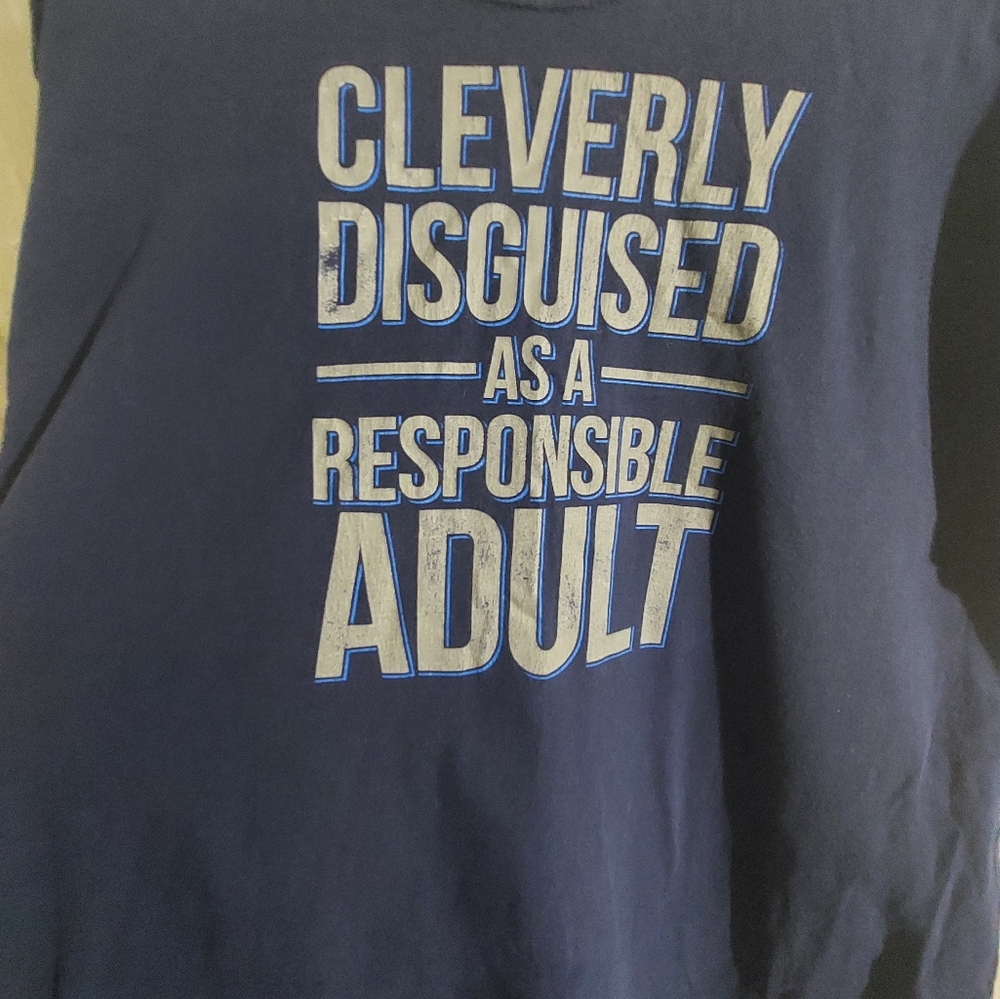 Gray Blue Dadcore Cleverly Disguised As A Responsible Adult T Shirt Size Large